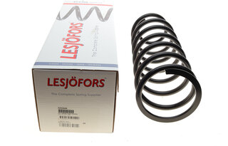 Lesjofors 4292604