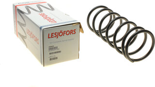 Lesjofors 4008404