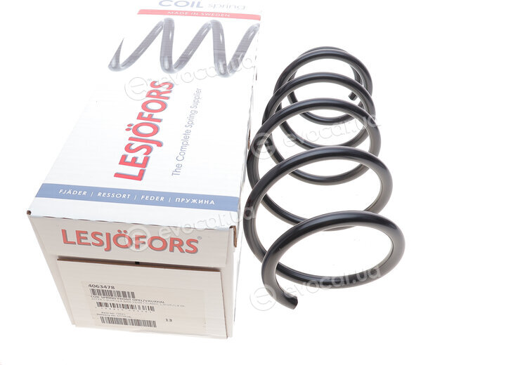 Lesjofors 4063478