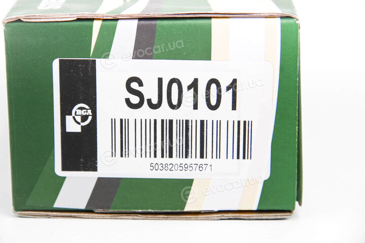 BGA SJ0101