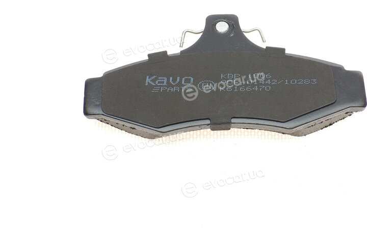 Kavo KBP-1006