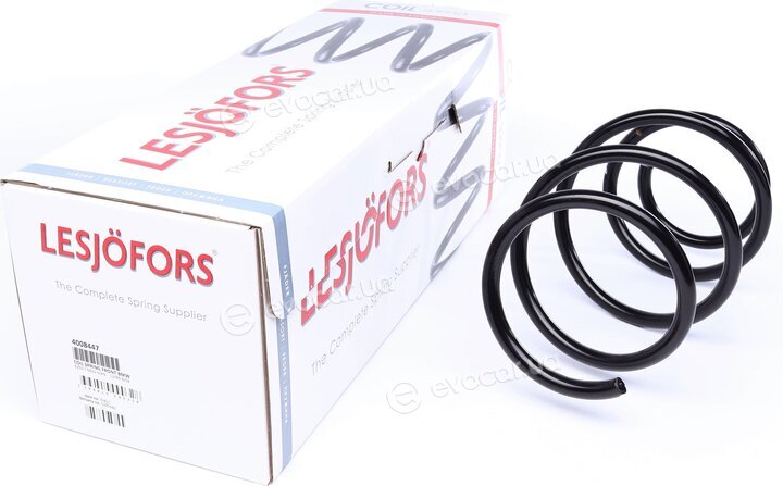 Lesjofors 4008447