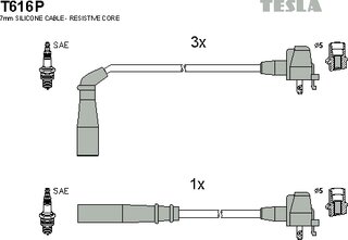 Tesla T616P