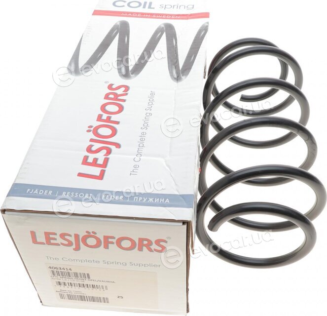 Lesjofors 4063414