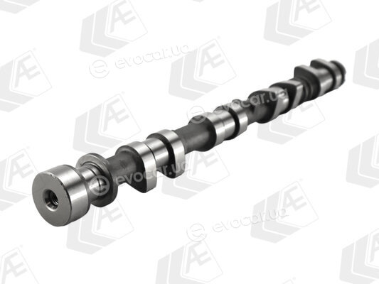 AE CAM1079