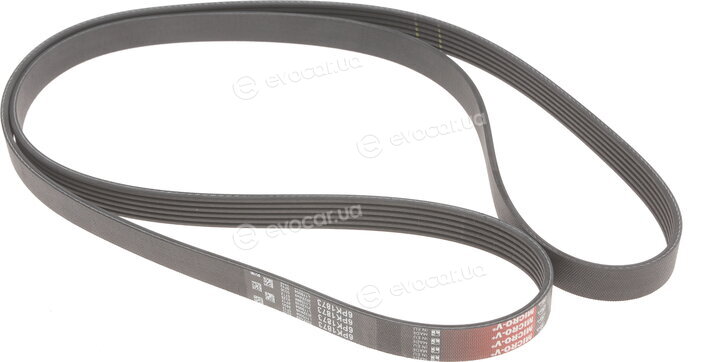 Gates K036PK1873