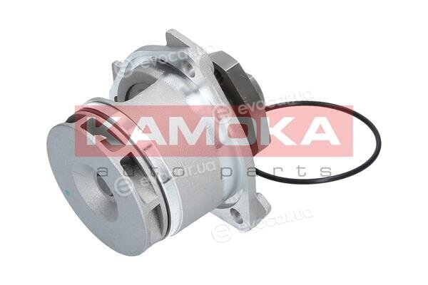 Kamoka T0234