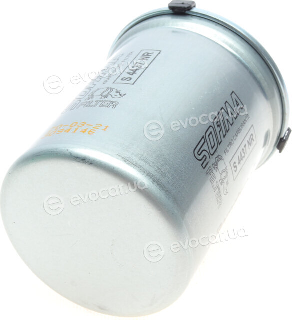 Borsehung B10475