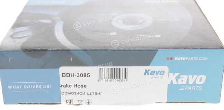 Kavo BBH-3085