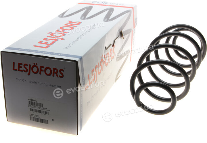 Lesjofors 4041406
