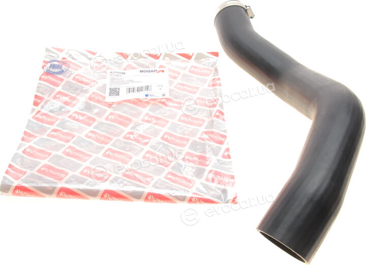 Bogap A1711186