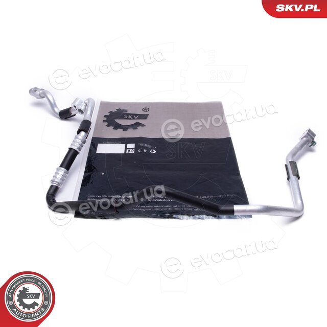 SKV 43SKV581