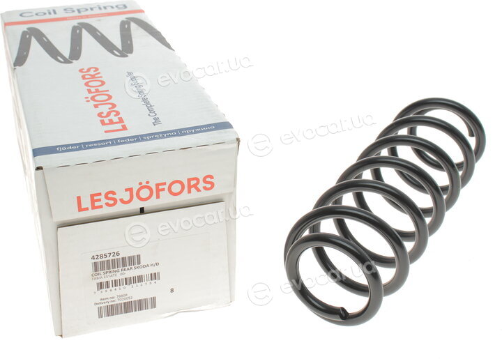 Lesjofors 4285726