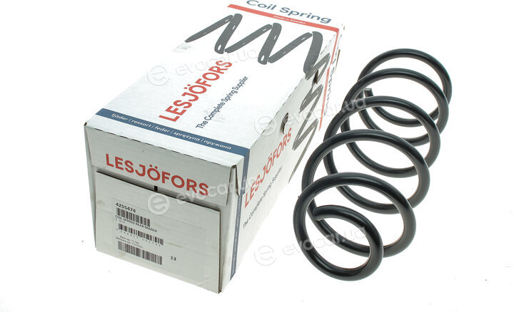 Lesjofors 4255474