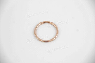 Elring 813.184