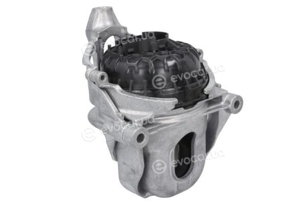 Reinhoch RH11-0176