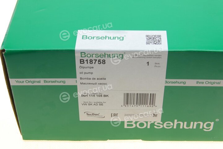 Borsehung B18758