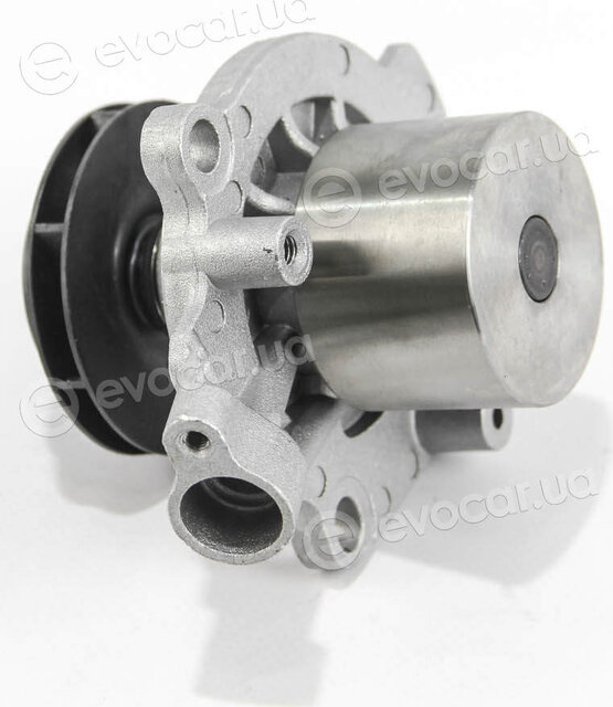 Dolz A255