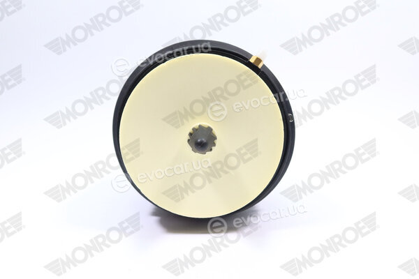 Monroe ASP019