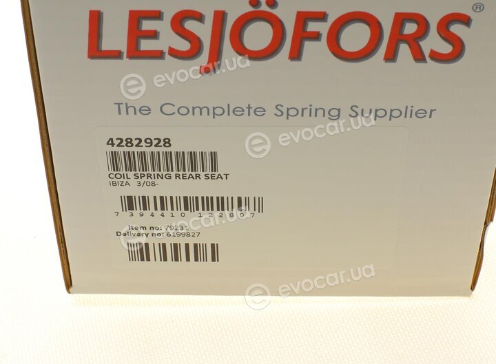 Lesjofors 4282928