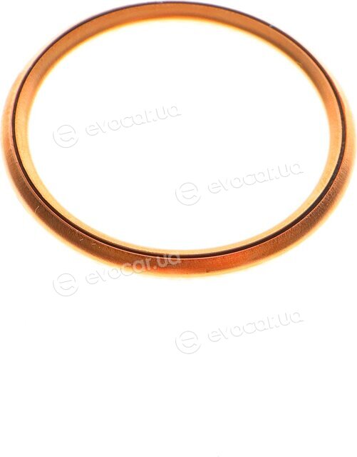 Elring 670.730
