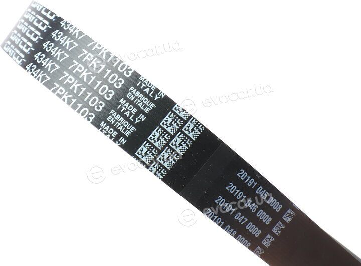 Dayco KPV568