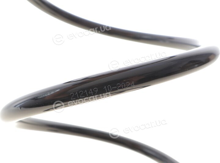 Solgy 212149