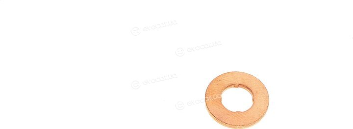 Elring 527.250