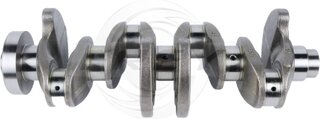 Frey 812000401