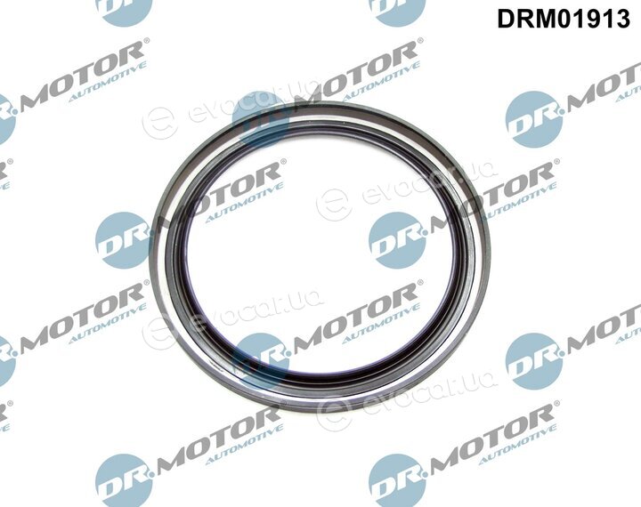 Dr. Motor DRM01913