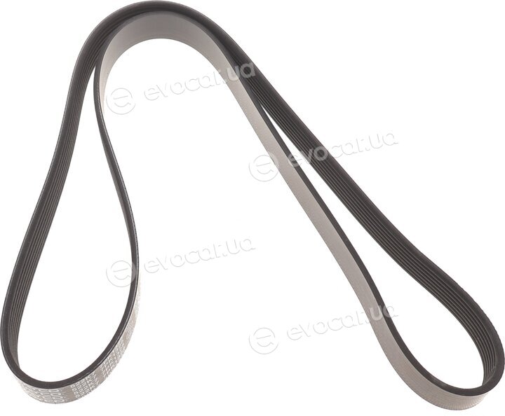 Dayco 7PK1325