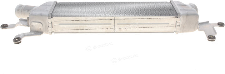 NRF 309042