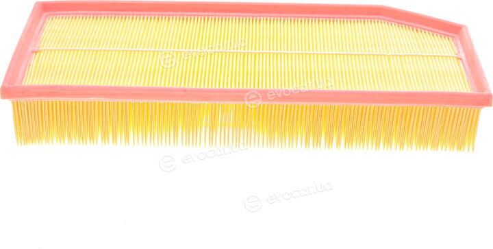 Solgy 103009