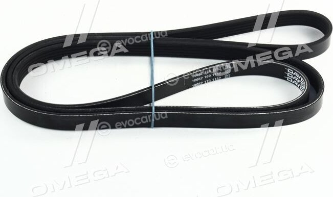 Dayco 5PK1800