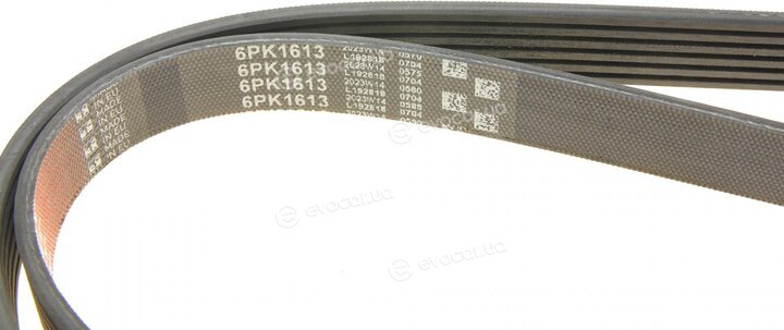 Gates 6PK1613