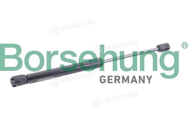 Borsehung B18440