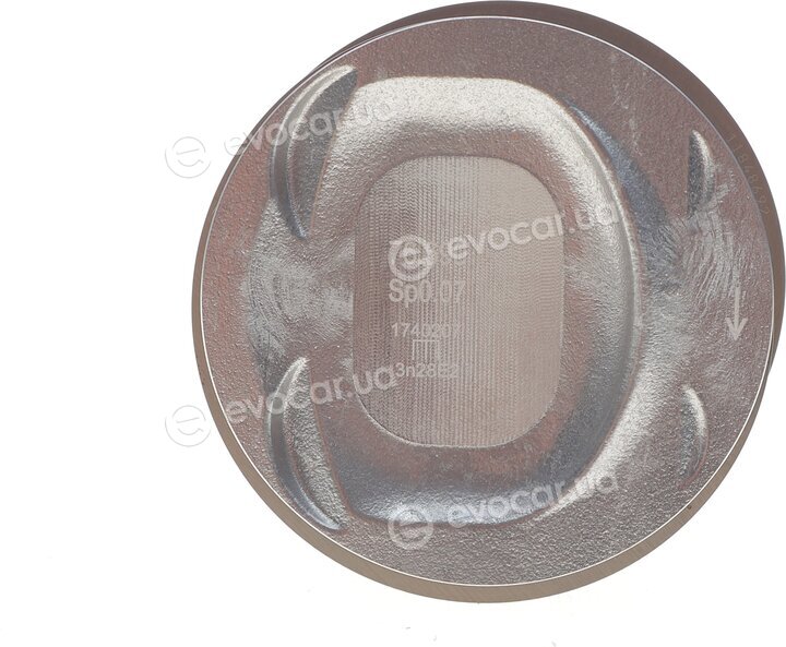 Mahle 028 PI 00118 001