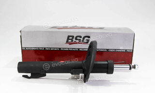 BSG BSG 75-300-003