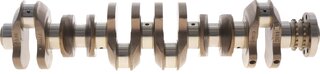 Frey 812000201