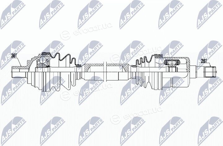 NTY NPW-VW-053