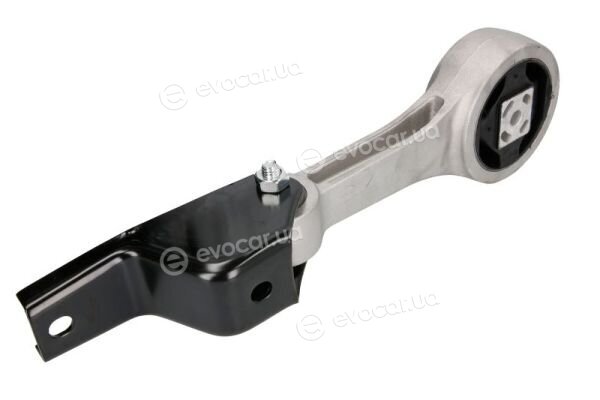 Reinhoch RH11-0049