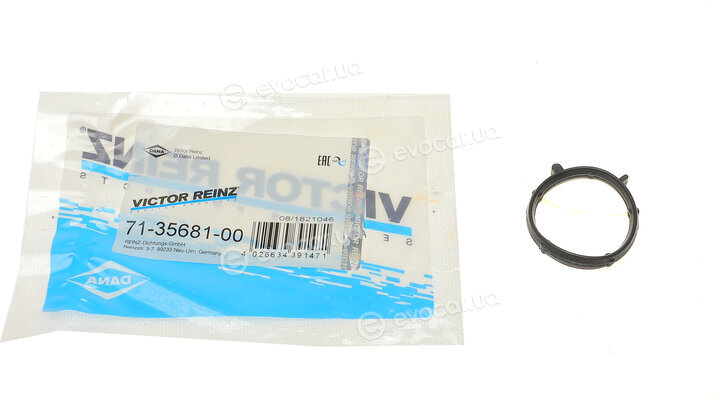 Victor Reinz 71-35681-00