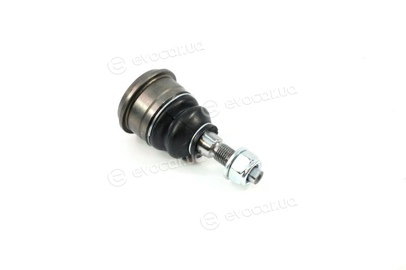 SKF VKDS 312501