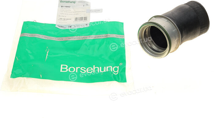 Borsehung B11982