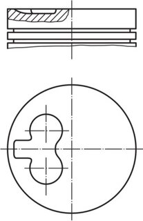 Mahle 029 55 21