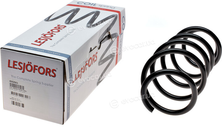 Lesjofors 4063501