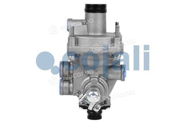 Cojali 2220331