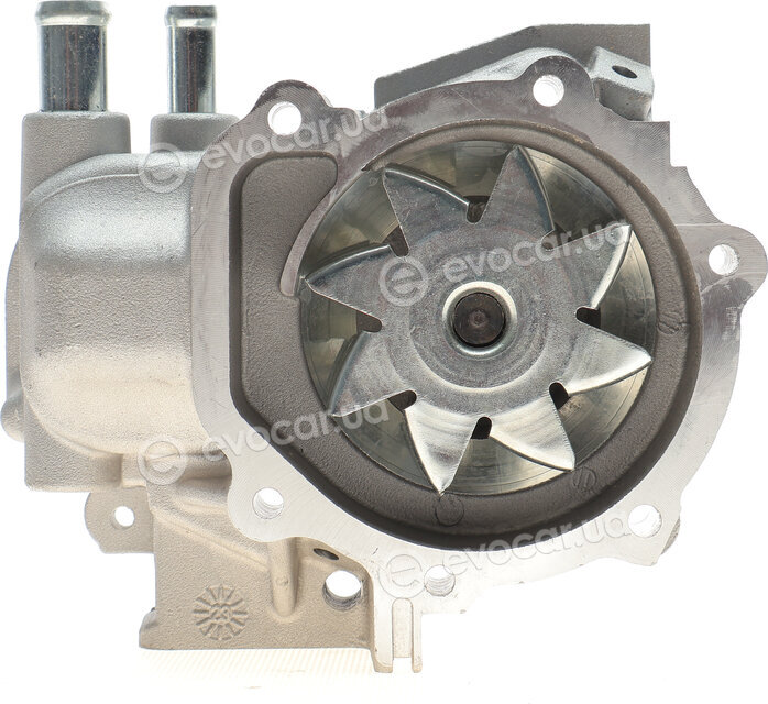 Graf PA1008