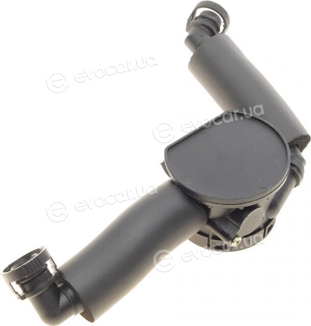 AIC 55994
