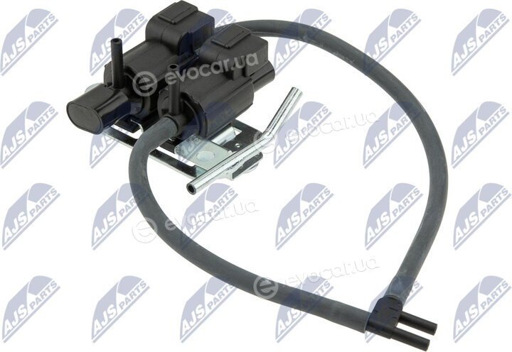 NTY EAG-MS-005